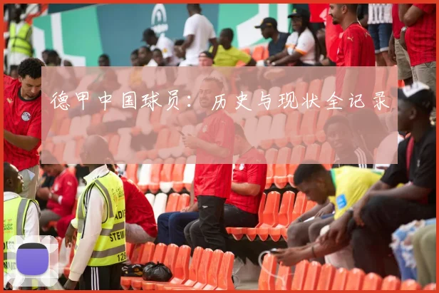 德甲中国球员：历史与现状全记录