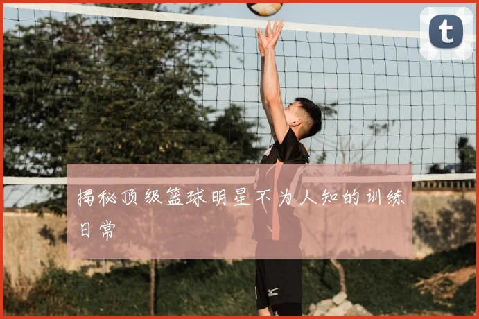 揭秘顶级篮球明星不为人知的训练日常