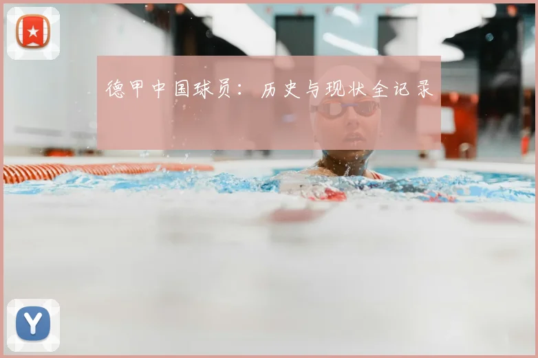 德甲中国球员:历史与现状全记录